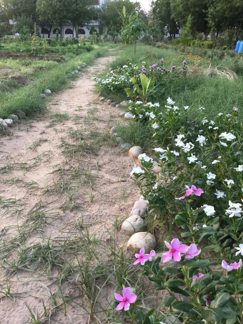 first attempt at pathway blocking with plastic and new soil on top 1200